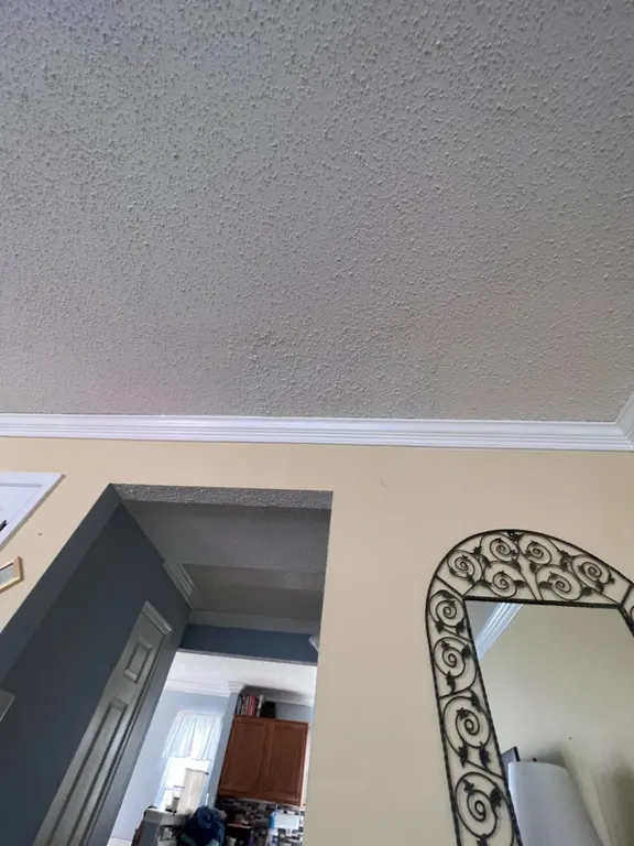 Drywall texture and paint-ready repair in Jacksonville, FL by Heylo Home