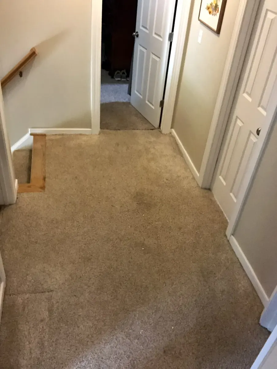 Carpet-to-LVP Update before the work