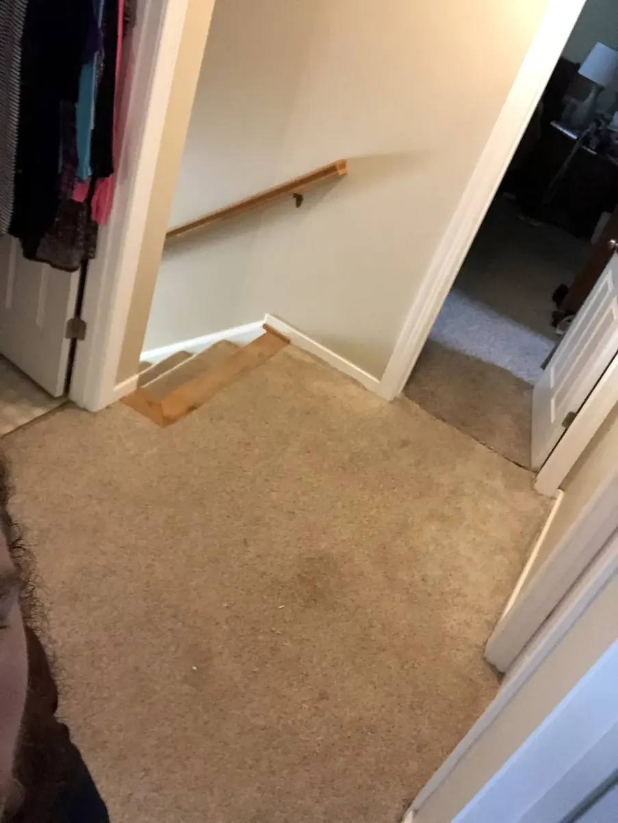 Before photo 2 of the carpet-to-lvp update