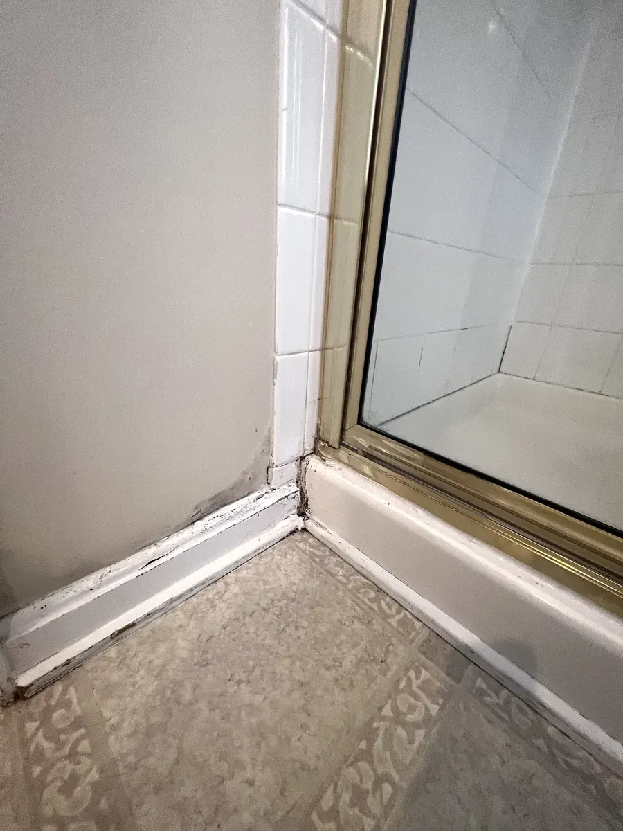 Before photo 4 of the custom shower rebuild