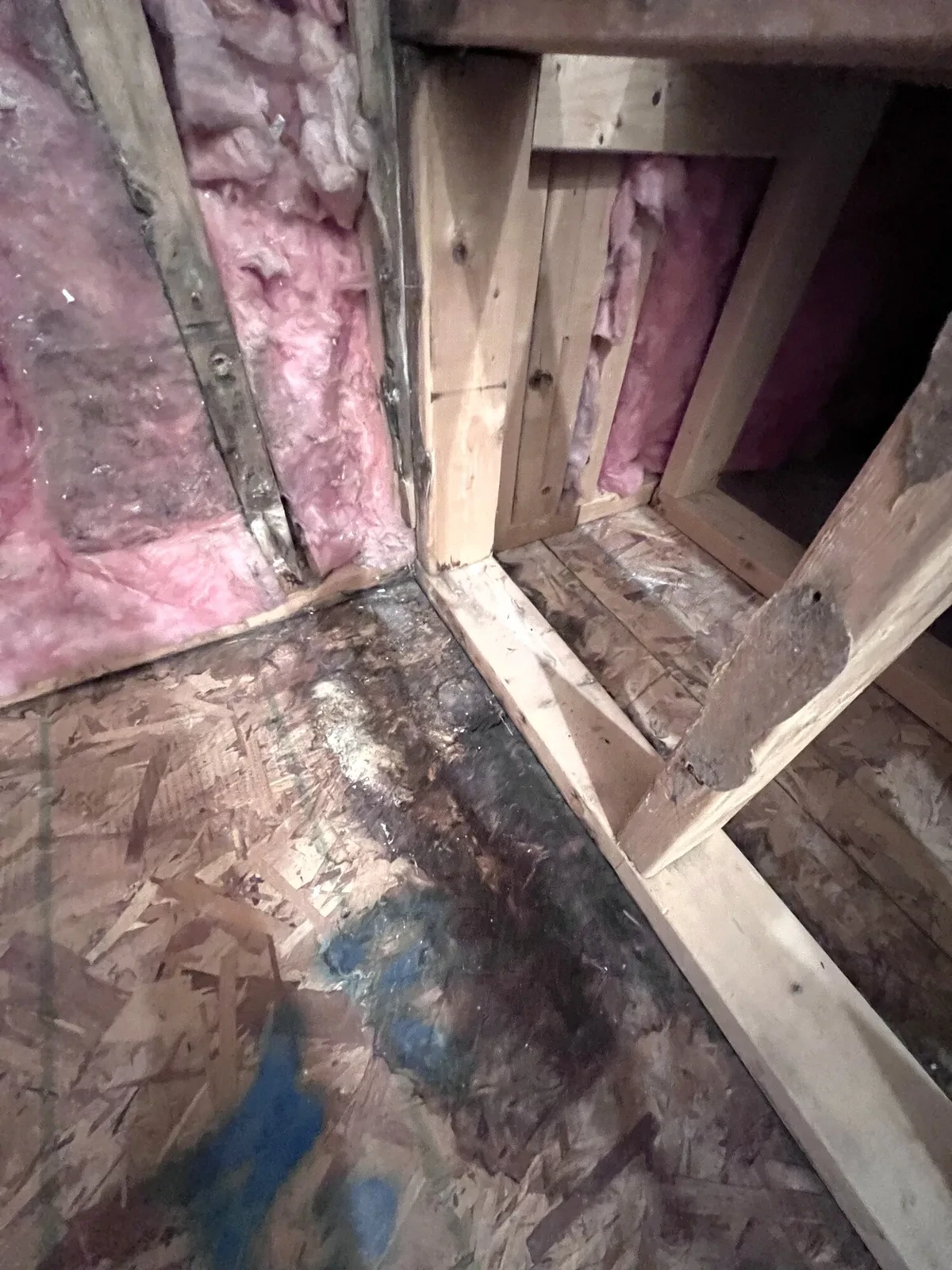 During photo 2 of the custom shower rebuild