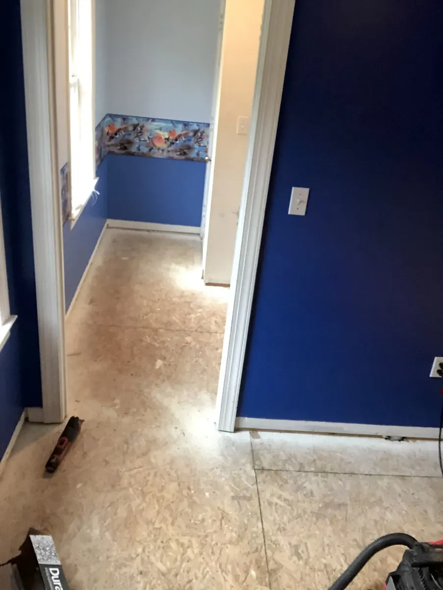 During photo 2 of the carpet-to-lvp update