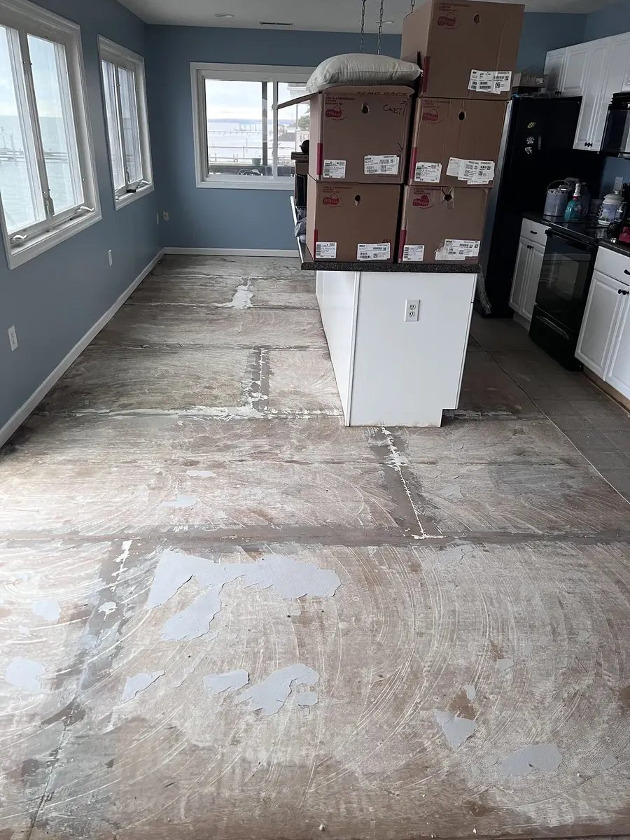 During photo 2 of the whole-home lvp flooring
