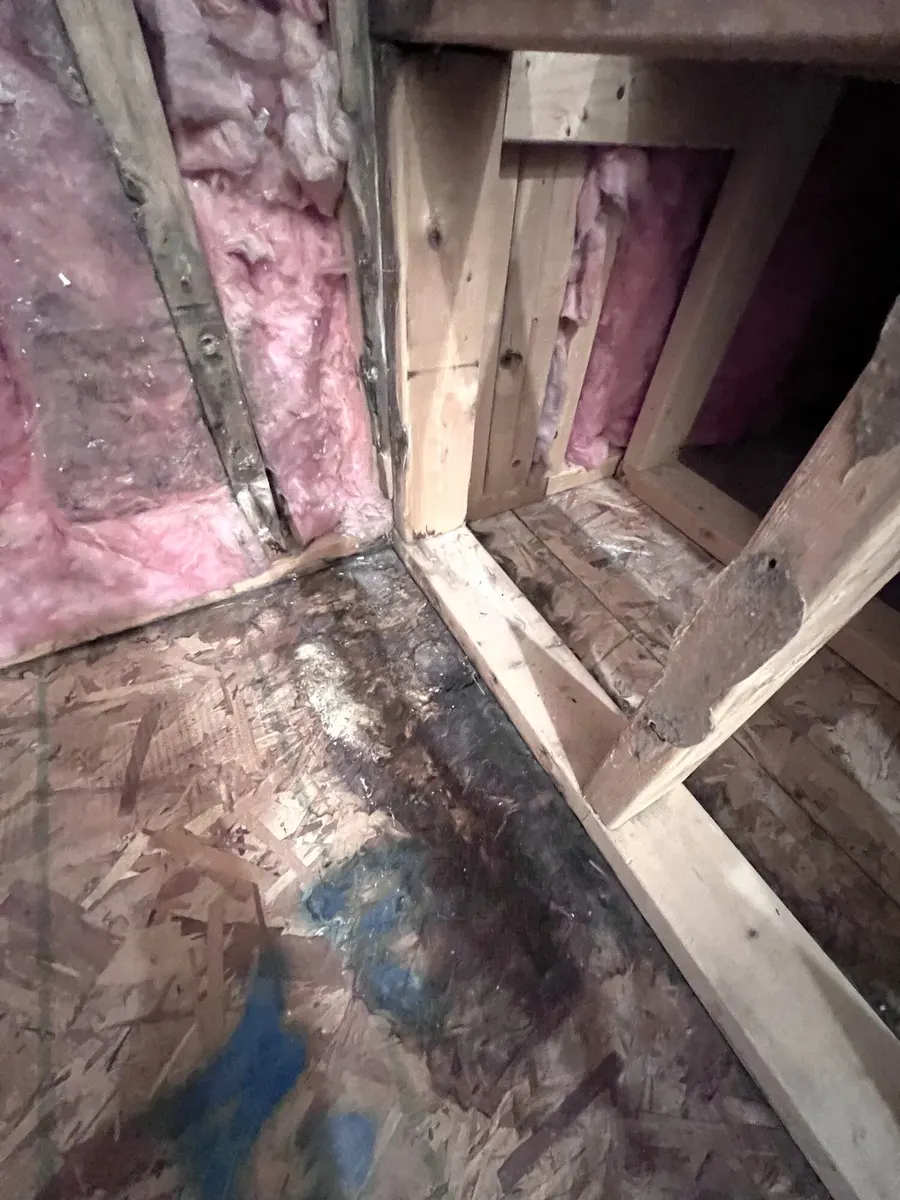 During photo 2 of the custom shower rebuild