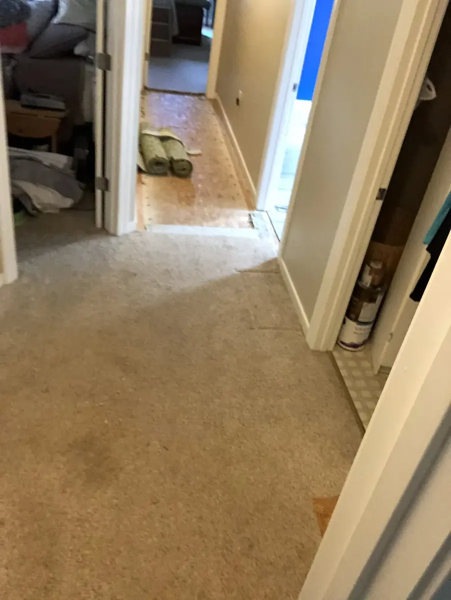 During photo 3 of the carpet-to-lvp update