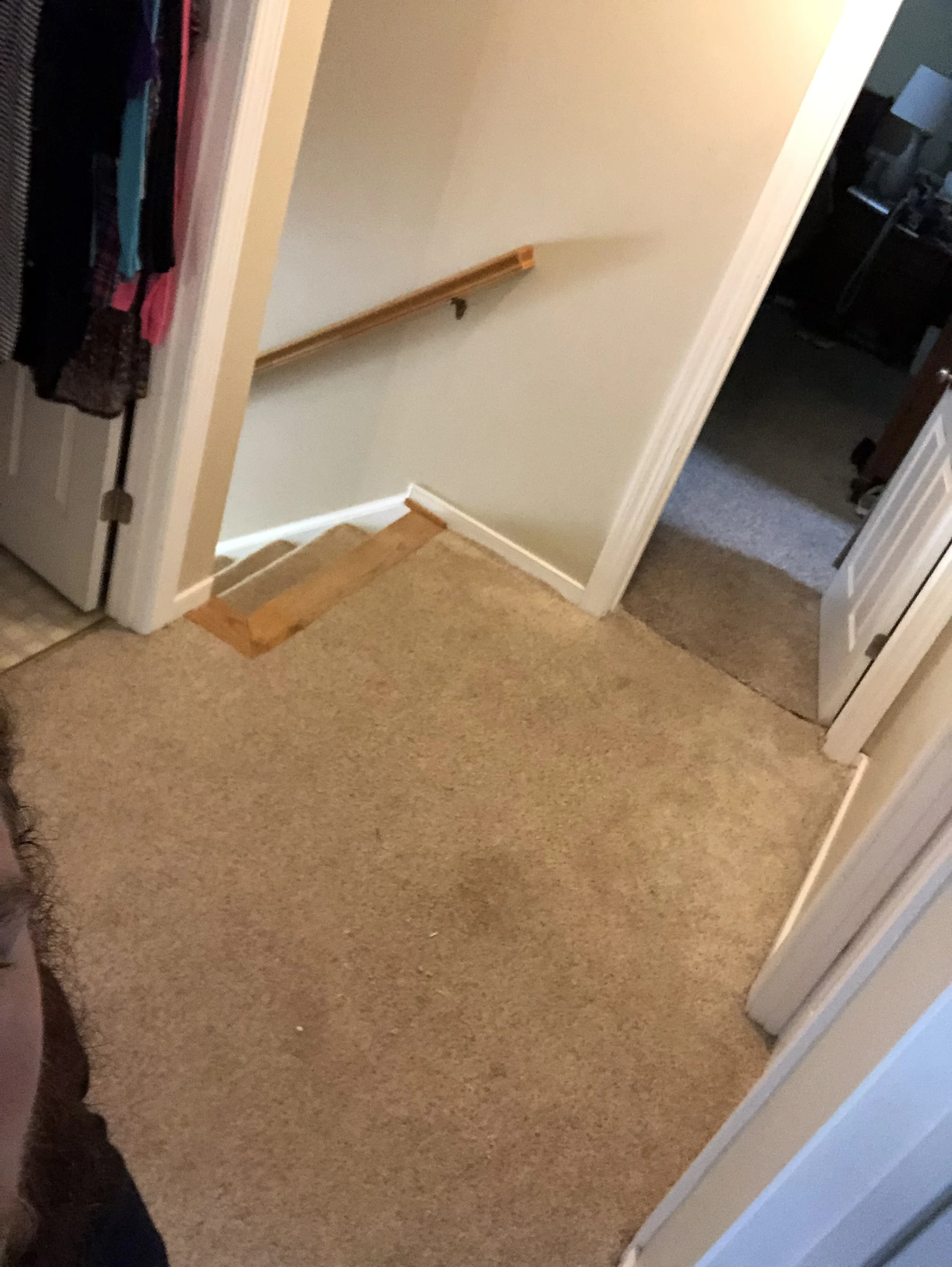 Before photo 2 of the carpet-to-lvp update